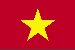 vietnamese Grand Prairie Branch, Grand Prairie (Texas) 75052, 4055 South Great Southwest P